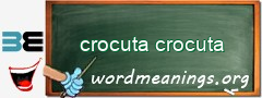 WordMeaning blackboard for crocuta crocuta